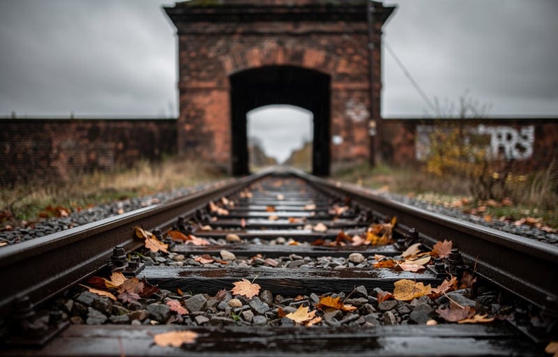 La mise en place de l'extermination systématique