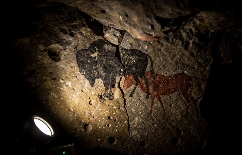 Bisons, chevaux, bouquetins : le bestiaire peint il y a 13 000 ans